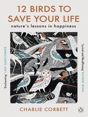 cover image of 12 Birds to Save Your Life
